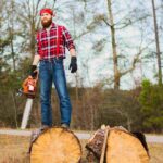 saratoga tree removal