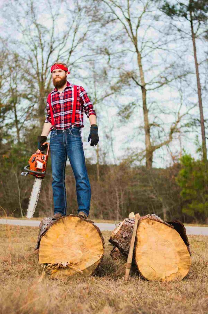 saratoga tree removal