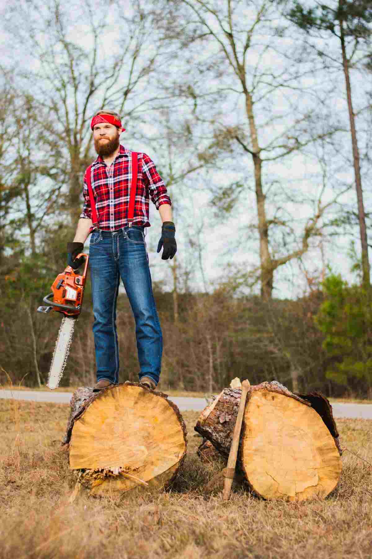 saratoga tree removal