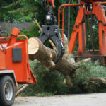 tree service Galt